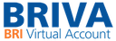 BRI Virtual Account